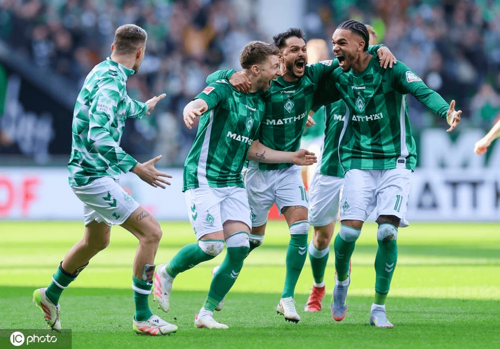 开云中国网站-布莱顿伤病情况